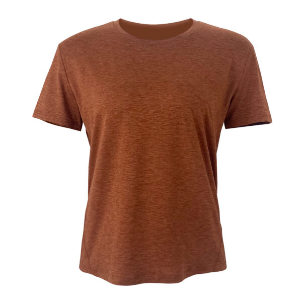 A blank rust crew neck t-shirt displayed on a plain background. The shirt has short sleeves and is presented in a way that showcases its front area clearly. The fabric appears smooth and there are no visible logos or designs on the garment.